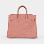Hermès Birkin 25 Terre Cuite Ostrich Gold Hardware