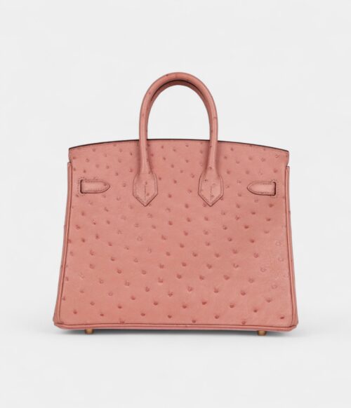 Hermès Birkin 25 Terre Cuite Ostrich Gold Hardware
