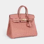 Hermès Birkin 25 Terre Cuite Ostrich Gold Hardware