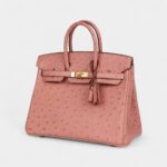 Hermès Birkin 25 Terre Cuite Ostrich Gold Hardware