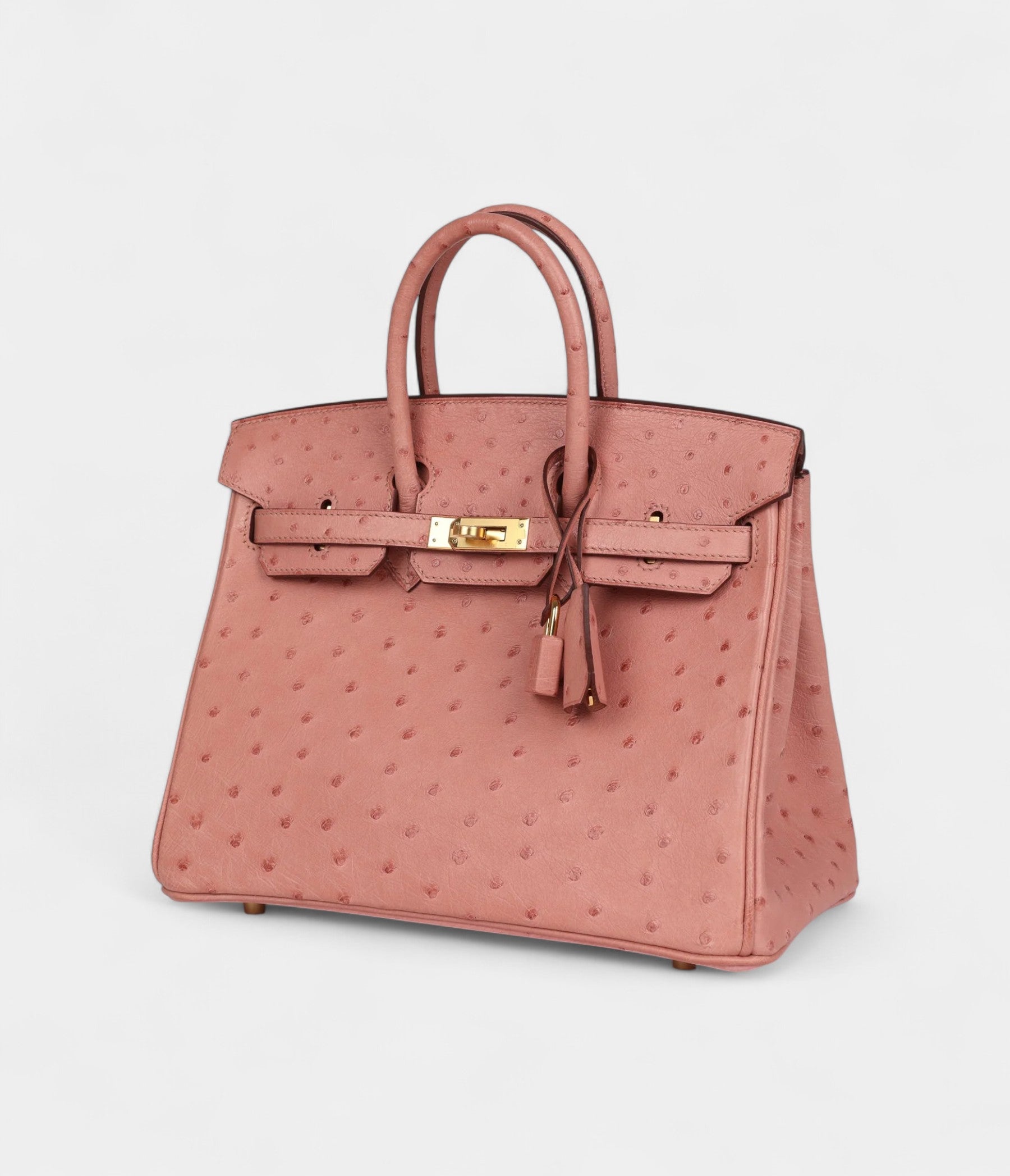Hermès Birkin 25 Terre Cuite Ostrich Gold Hardware
