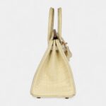 Hermès Birkin 25 Vanille Matte Alligator Brushed Gold Hardware