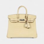 Hermès Birkin 25 Vanille Matte Alligator Palladium Hardware