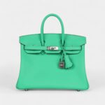 Hermès Birkin 25 Vert Comics Swift Palladium Hardware