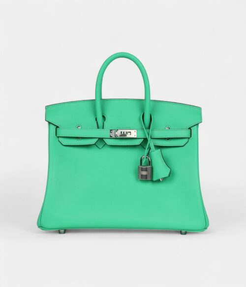 Hermès Birkin 25 Vert Comics Swift Palladium Hardware