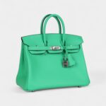 Hermès Birkin 25 Vert Comics Swift Palladium Hardware