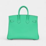 Hermès Birkin 25 Vert Comics Swift Palladium Hardware