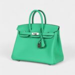 Hermès Birkin 25 Vert Comics Swift Palladium Hardware