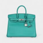 Hermès Birkin 25 Vert Verone Verso Novillo Palladium Hardware