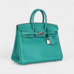 Hermès Birkin 25 Vert Verone Verso Novillo Palladium Hardware