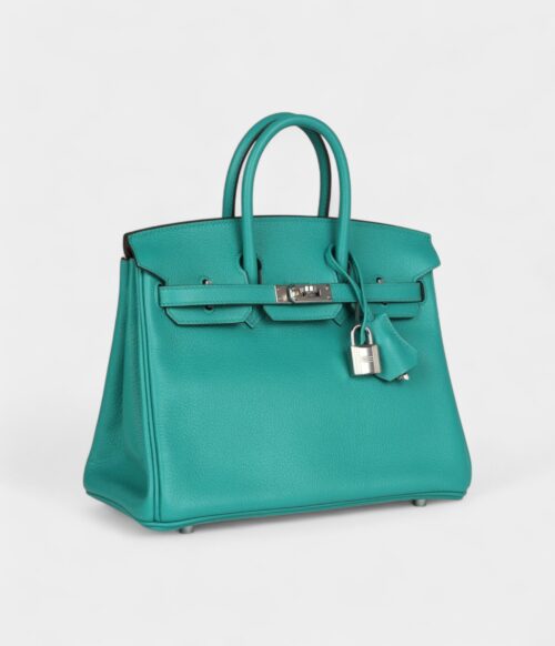 Hermès Birkin 25 Vert Verone Verso Novillo Palladium Hardware