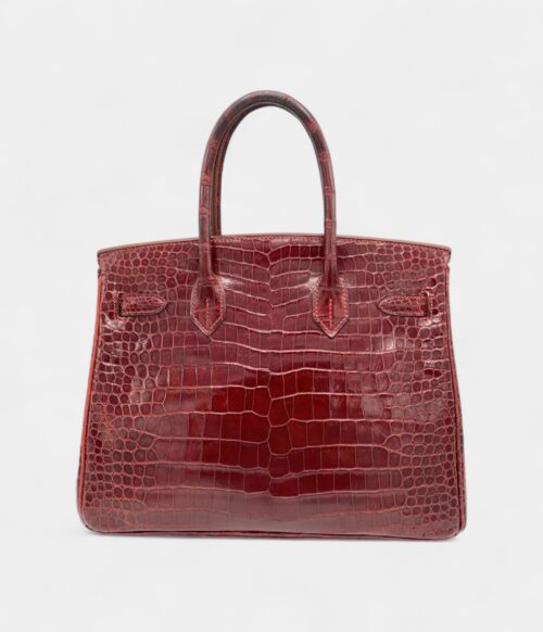 Hermès Birkin 30 Alligator Handbag The Pinnacle of Exotic Luxury