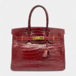 Hermès Birkin 30 Alligator Handbag The Pinnacle of Exotic Luxury