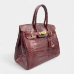 Hermès Birkin 30 Alligator Handbag The Pinnacle of Exotic Luxury