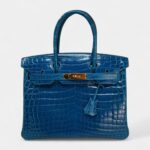 Hermès Birkin 30 Crocodile Handbag The Pinnacle of Exotic Luxury