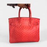 Hermès Birkin 30 Exotic Elegance in Ostrich Leather