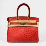 Hermès Birkin 30 Exotic Elegance in Ostrich Leather