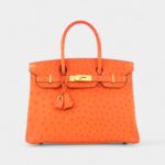 Hermès Birkin 30 Exotic Leathers Tote A Luxurious Masterpiece