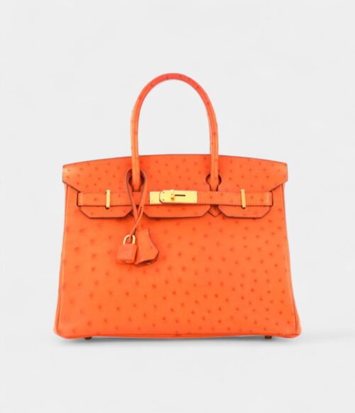 Hermès Birkin 30 Exotic Leathers Tote A Luxurious Masterpiece