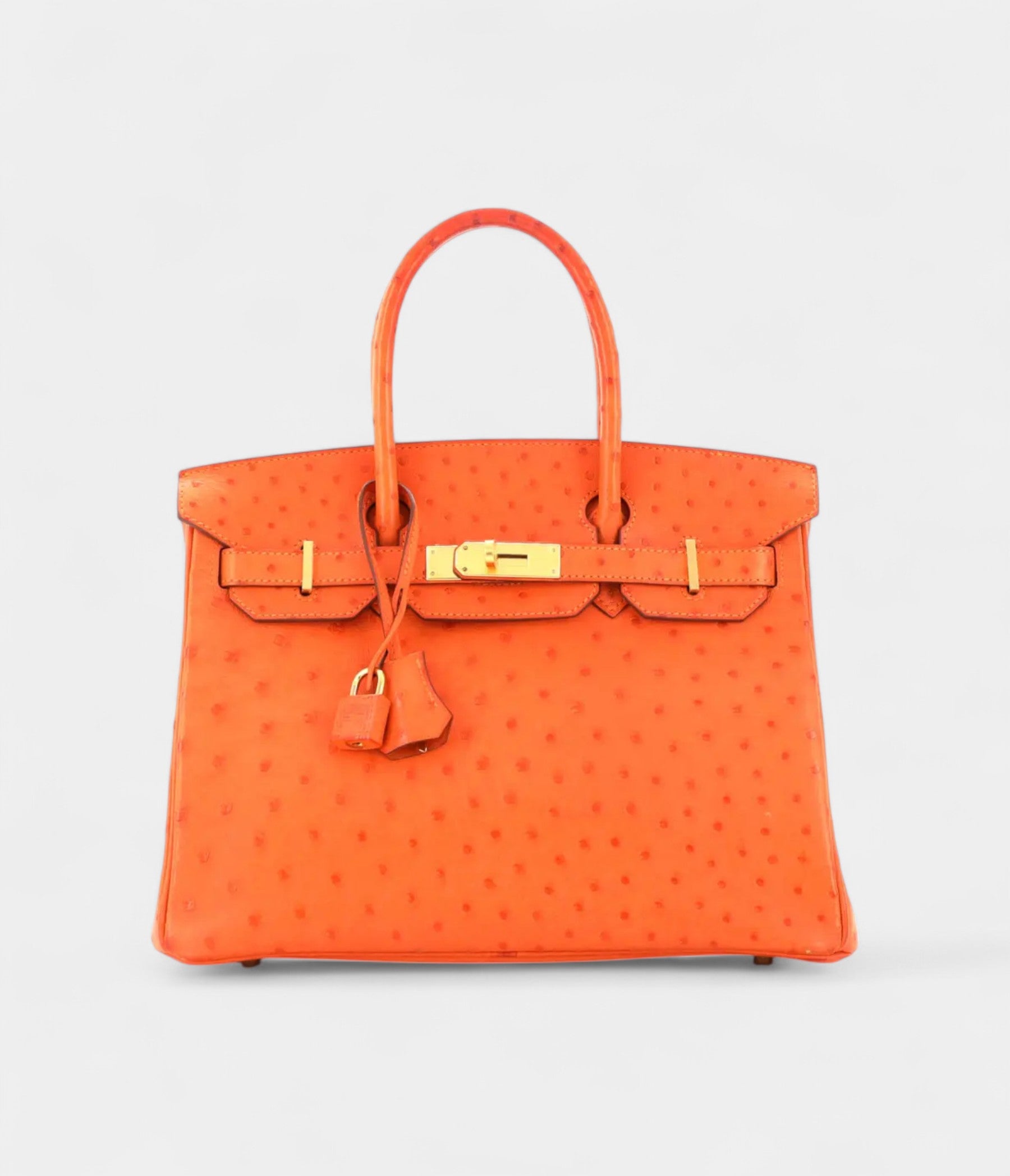 Hermès Birkin 30 Exotic Leathers Tote A Luxurious Masterpiece