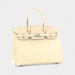 Hermès Birkin 30 Exotic Leathers Tote The Ultimate in Luxury and Exclusivity