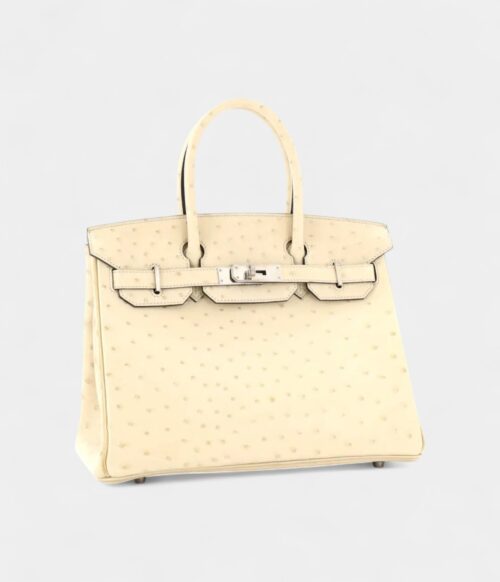 Hermès Birkin 30 Exotic Leathers Tote The Ultimate in Luxury and Exclusivity