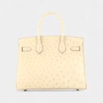 Hermès Birkin 30 Exotic Leathers Tote The Ultimate in Luxury and Exclusivity