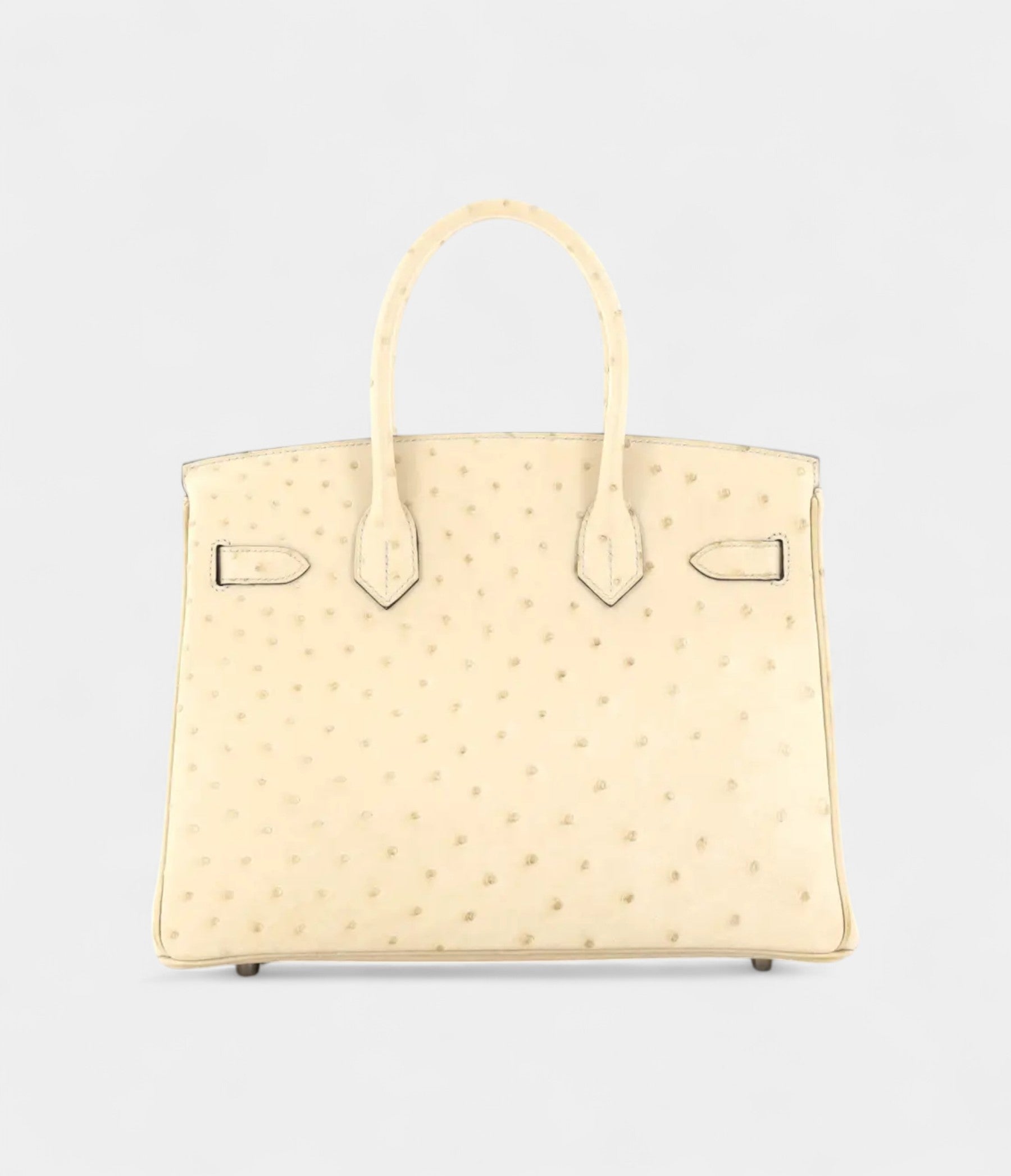 HermesBirkin30ExoticLeathersToteTheUltimateinLuxuryandExclusivity_4.jpg Hermès Birkin 30 Exotic Leathers Tote The Ultimate in Luxury and Exclusivity