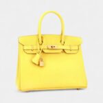 Hermès Birkin 30 Leather Handbag A Timeless Symbol of Luxury