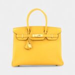 Hermès Birkin 30 Leather Handbag The Ultimate Luxury Icon Signature Gold
