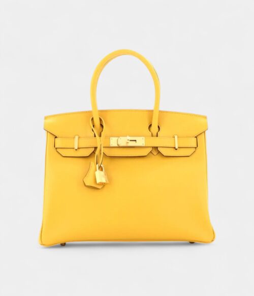 Hermès Birkin 30 Leather Handbag The Ultimate Luxury Icon Signature Gold