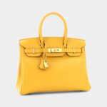 Hermès Birkin 30 Leather Handbag The Ultimate Luxury Icon Signature Gold