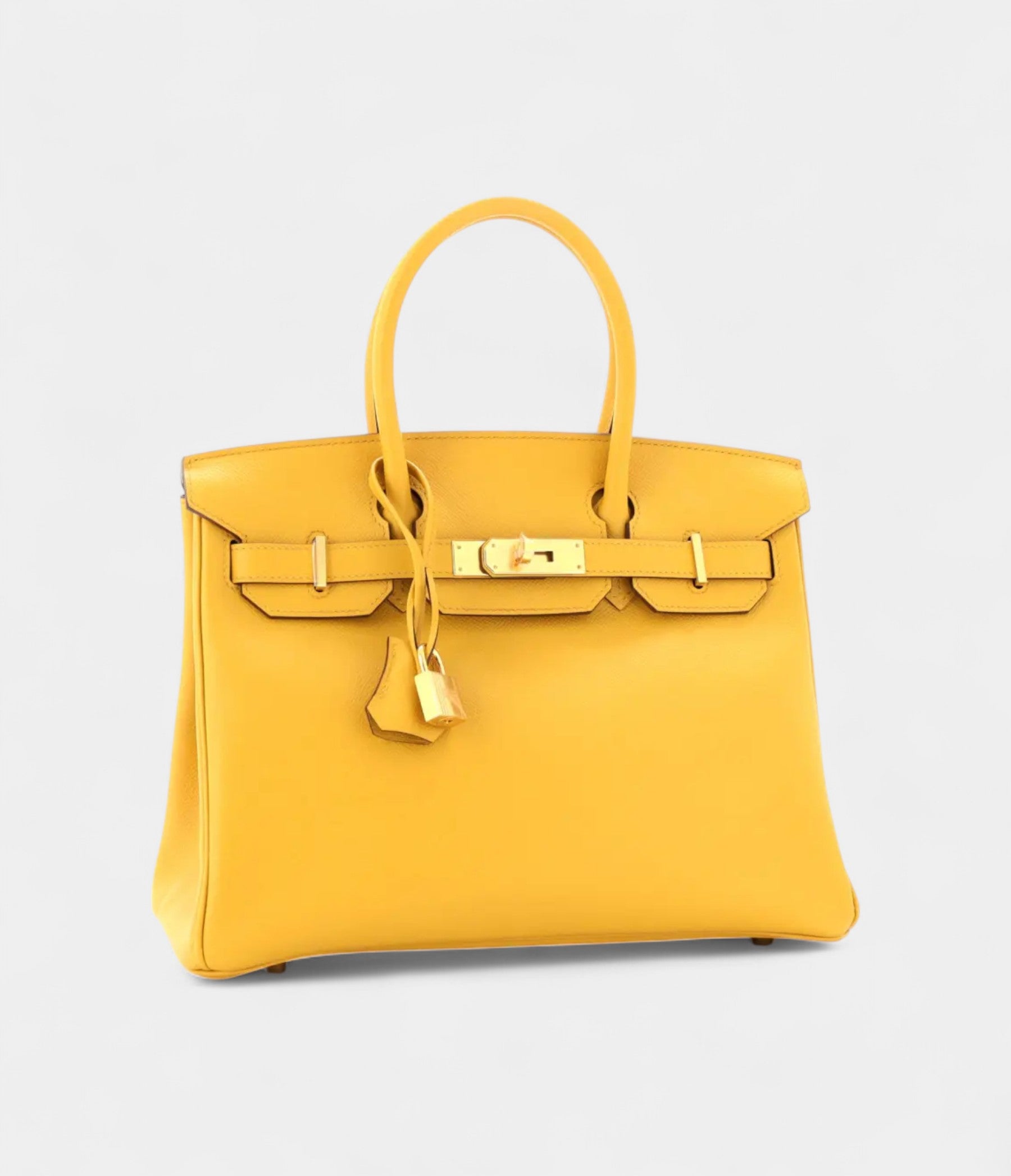 Hermès Birkin 30 Leather Handbag The Ultimate Luxury Icon Signature Gold