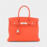 Hermès Birkin 30 Leather Tote A Timeless Icon of Elegance