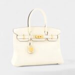 Hermès Birkin 30 Leather Tote A Timeless Symbol of Elegance and Prestige