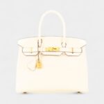 Hermès Birkin 30 Leather Tote The of Luxury and Craftsmanship