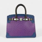Hermès Birkin 30 Ostrich Handbag Exotic Elegance in a Coveted Classic