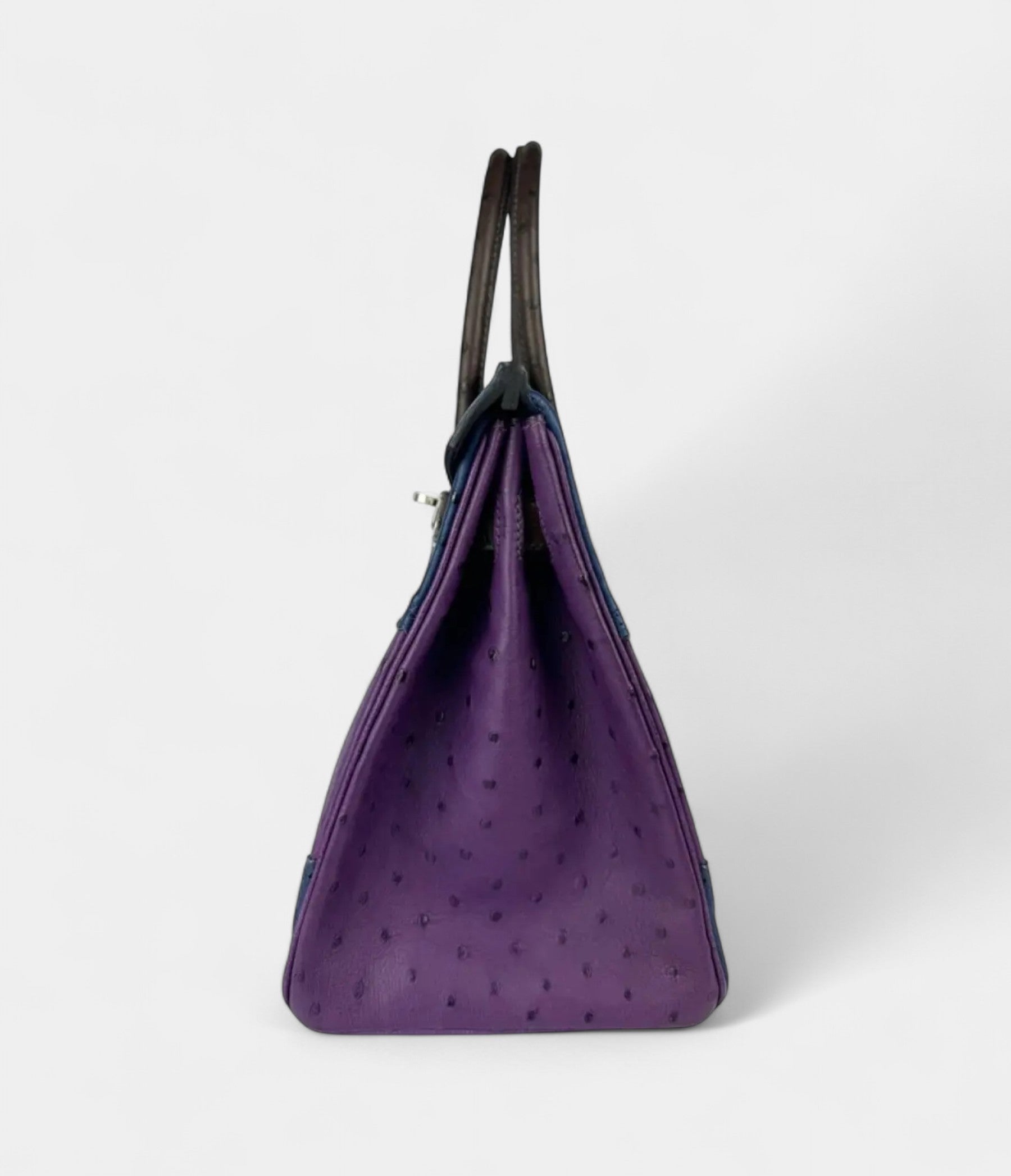 Hermès Birkin 30 Ostrich Handbag Exotic Elegance in a Coveted Classic