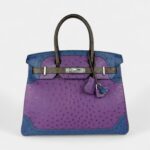 Hermès Birkin 30 Ostrich Handbag Exotic Elegance in a Coveted Classic