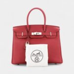 Hermès Birkin 30 The Ultimate Leather Tote of Prestige