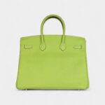 Hermès Birkin 35 Olive Green Kiwi Candy Epsom Palladium Hardware