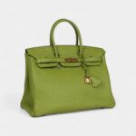 Hermès Birkin 35 Vert Anis Verso Togo Gold Hardware