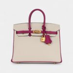 Hermès Birkin Sellier 25 Craie and Rose Pourpre Epsom Brushed Gold Hardware