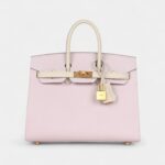 Hermès Birkin Sellier 25 Mauve Pale and Craie Epsom Brushed Gold Hardware