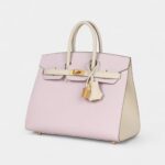 Hermès Birkin Sellier 25 Mauve Pale and Craie Epsom Brushed Gold Hardware