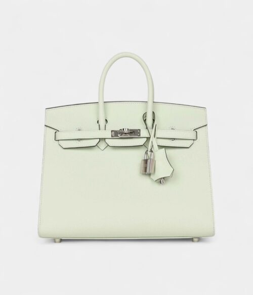 Hermès Birkin Sellier 25 Vert Fizz Epsom Palladium Hardware