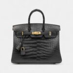 Hermès Black Matte Alligator Birkin 25 Gold Hardware