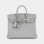 Hermès Bleu Glacier Ostrich Birkin 25 Palladium Hardware