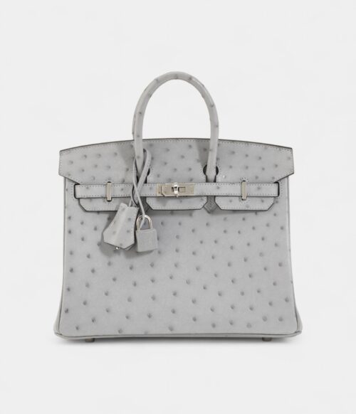 Hermès Bleu Glacier Ostrich Birkin 25 Palladium Hardware
