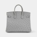 Hermès Bleu Glacier Ostrich Birkin 25 Palladium Hardware
